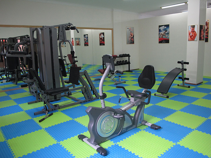 室内健身器材,单位健身器材,健身器材十大品牌-广西leyu.乐鱼体育健身器材有限公司